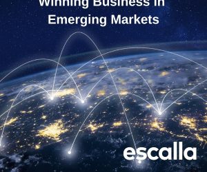 Virtual seminar winning business in emerging markets