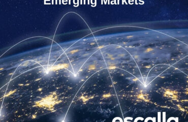Virtual seminar winning business in emerging markets