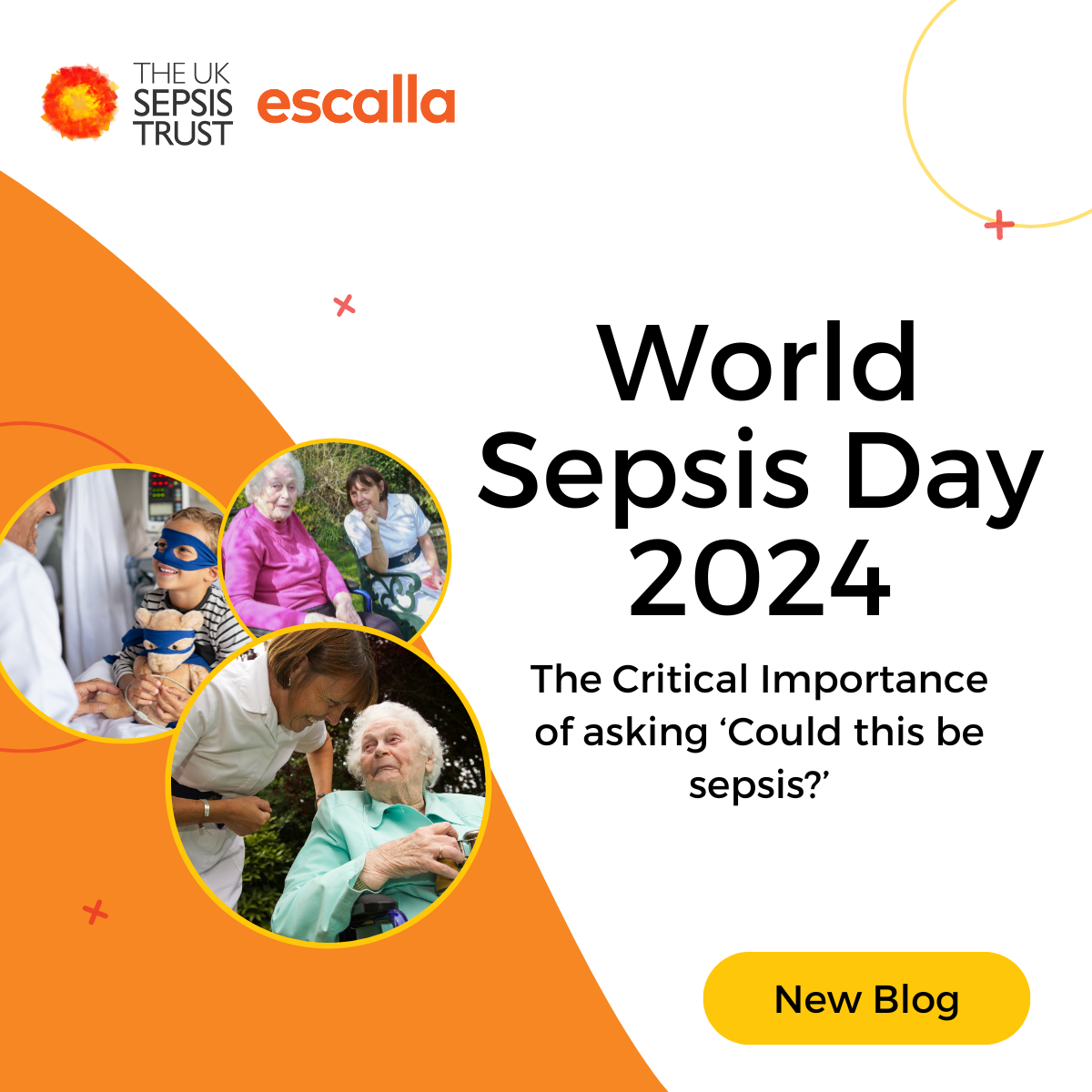 World Sepsis Day 2024: 'Could this be Sepsis?'